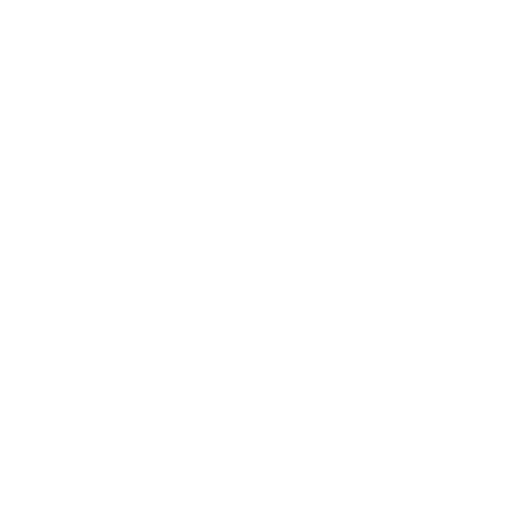 Altus Conseil